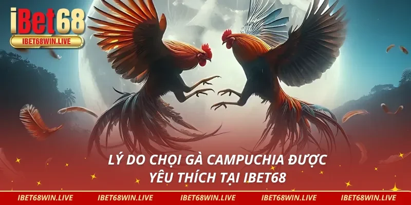 Lý do đá gà Campuchia được hội viên ưa chuộng 