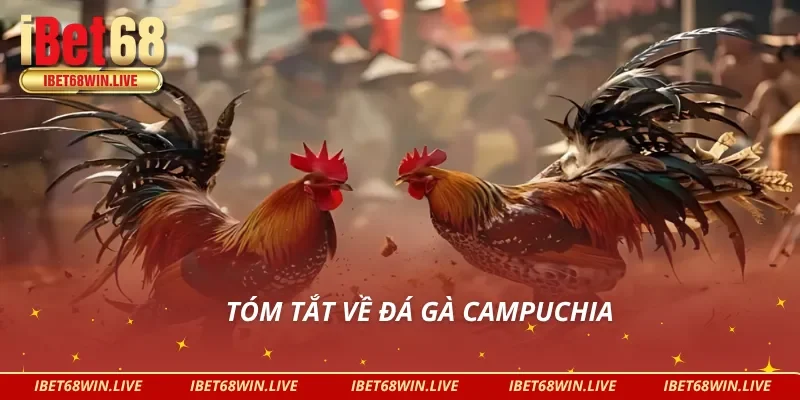 Nắm rõ hơn về hình thức đá gà Campuchia