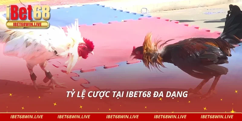 Sở hữu tỷ lệ cược đá gà Campuchia phong phú 