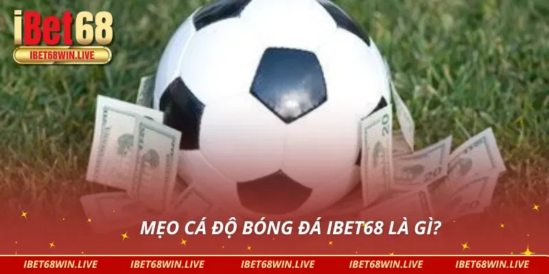 Tổng quan mẹo cá độ bóng đá iBet68
