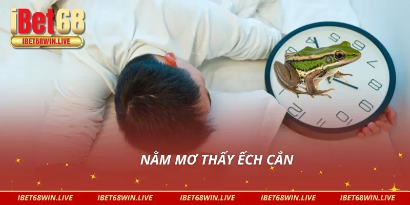 Giải mã giấc mộng bị ếch cắn