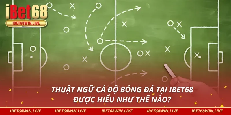 Định nghĩa về thuật ngữ cá độ bóng đá tại IBET68